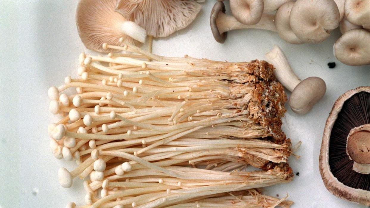 Enoki mushrooms.   mushroom
/Mushrooms