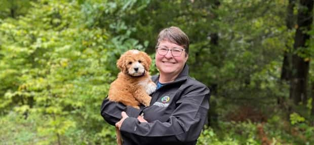 Keri Gray's company Indigenous Treats makes pet treats from traditional meats like rabbit and beaver. (Submitted by Keri Gray - image credit)