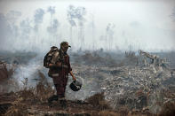 A fire fighter walks on a field as smoke billows from burnt trees at Sebangau National Park, Central Kalimantan, Indonesia, Thursday, Sept .19, 2019. Indonesia's forest fires are an annual problem that strains relations with neighboring countries. The smoke from the fires has blanketed parts of Indonesia, Singapore, Malaysia and southern Thailand in a noxious haze. (AP Photo/Fauzy Chaniago)