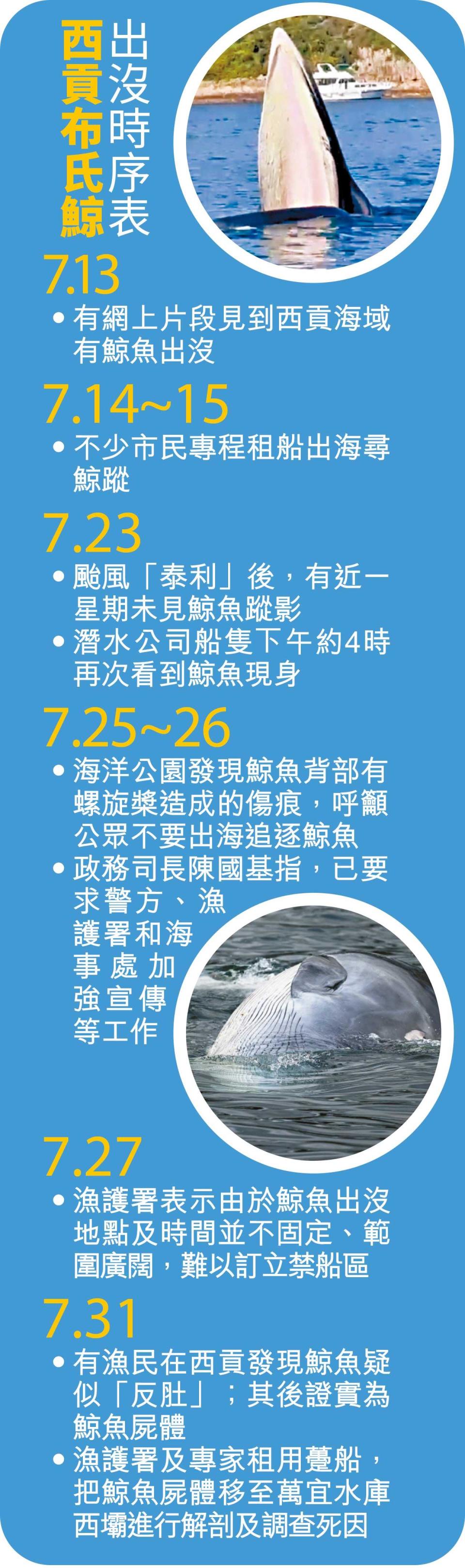 西貢鯨魚