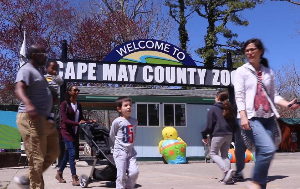 The Cape May County Park & ​​Zoo offers visitors the chance to see many animals in the park.  Cape May Court House, NJ Tuesday, April 12, 2022