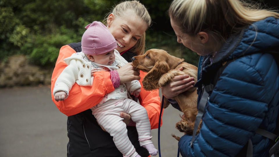 Puppy meeting baby and parents