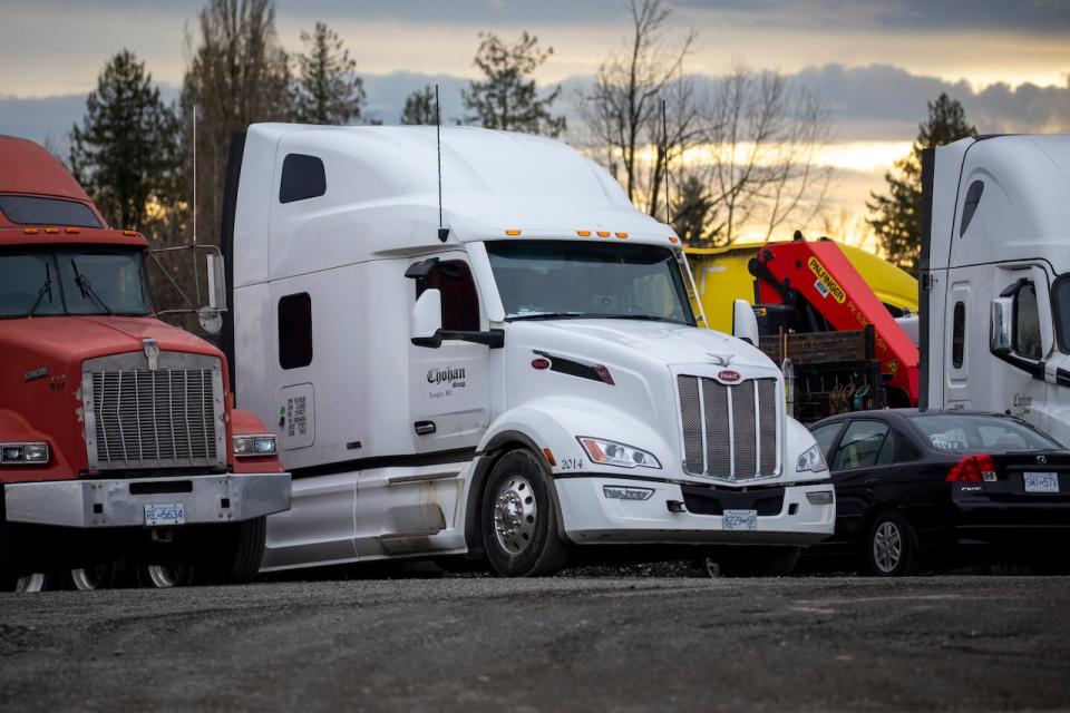 Chohan Freight Forwarders trucks have been parked in the company's lot since a suspension that followed an overpass crash on Dec. 28. The company wants a judge to lift the suspension.