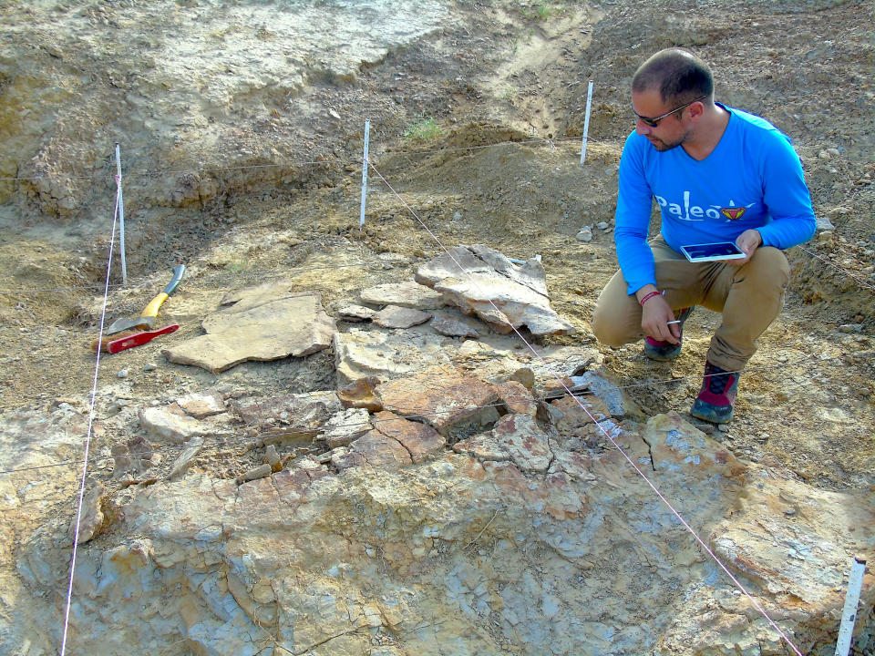 Colombian paleontologist, Dr. Edwin Cadena, taking notes from one of the male specimens of Stupendemys geographicus during a fieldwork season in 2016 (Picture: SWNS)