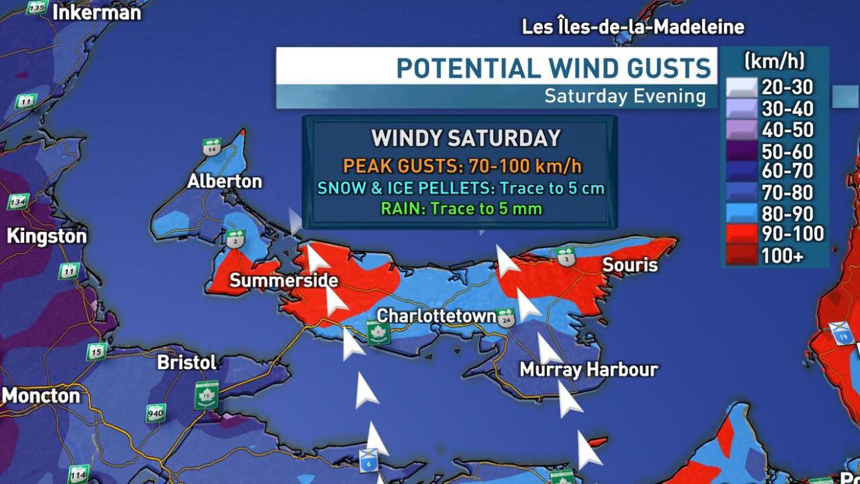 The Island could see potential wind gusts of up to 100 km/h Saturday evening, similar to Wednesday's winter storm.  (Jay Scotland/CBC - image credit)