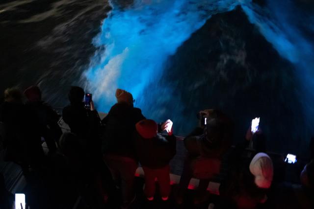 Glowing bioluminescence waves were spotted in Southern California