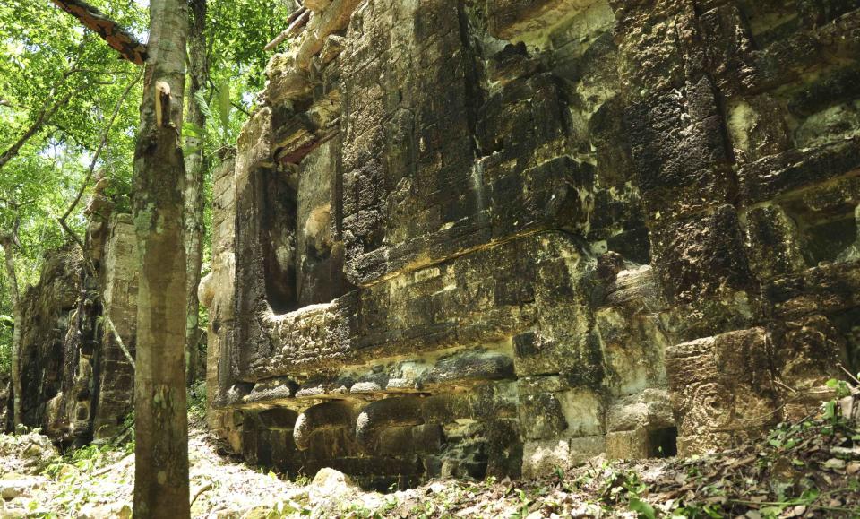 A photograph released to Reuters on August 22, 2014 shows the remains of an ancient Mayan city in Lagunita May 13, 2014. (REUTERS/Research Center of the Slovenian Academy of Sciences and Arts)