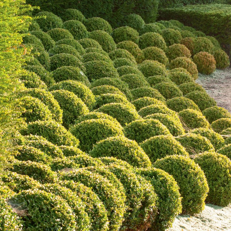 Photo credit: Glorious Gardens, by Country Living| CLIVE NICHOLS