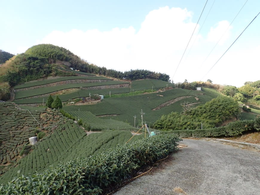 嘉義大風埕觀日峰＋油車寮步道