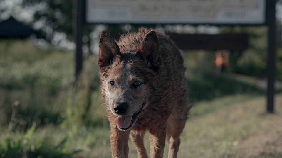 Pet Sematary: Bloodlines (Paramount+)