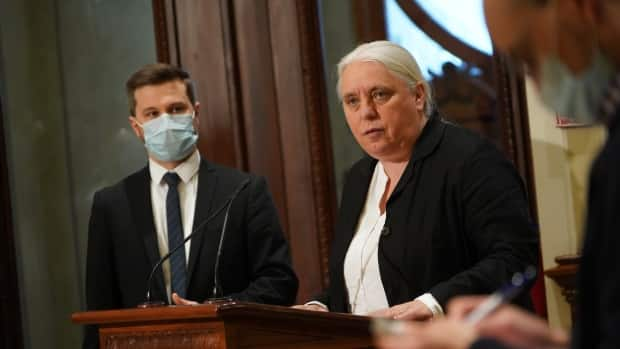 Manon Massé and Gabriel Nadeau-Dubois have been the co-spokespeople of Québec Solidaire since 2017.  (Sylvain Roy Roussel/CBC - image credit)