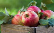 Essen Sie Äpfel, und zwar in rauen Mengen! Der Ausspruch "An apple a day keeps the doctor away" kommt schließlich nicht von ungefähr. Das Obst schlägt mit nur circa 54 Kalorien pro 100 Gramm zu Buche und kann beispielsweise den Blutdruck und den Cholesterinspiegel senken. (Bild: iStock / pashapixel)