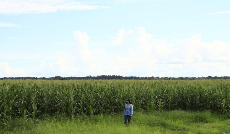 Gobierno lanzó el pasado 4 de agosto el Sistema Nacional de Reforma Agraria. Imagen: Archivo Valora.