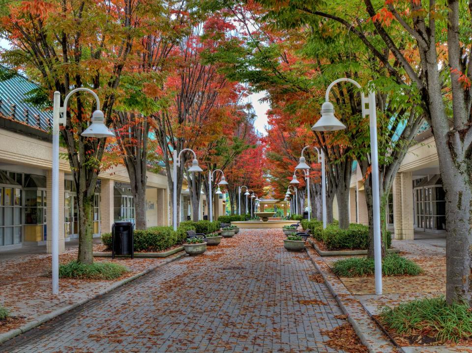 Fall Colors in Columbia, Maryland.