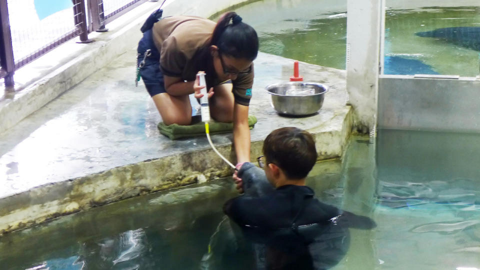 Visitors who sign-up for the behind-the-scenes tour with Canola will be able to witness how aquarists care and train for the manatees. (Yahoo/Erin Kimbrell)