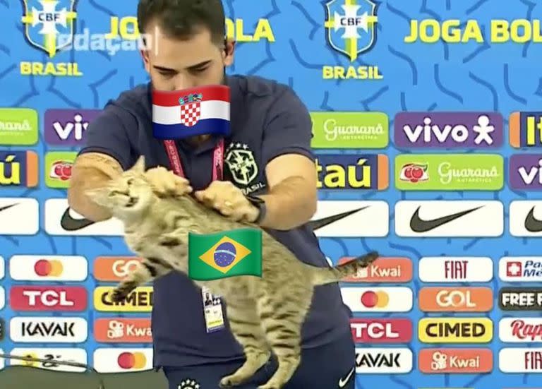 Meme sobre la eliminación de Brasil en referencia a la "maldición del gato"