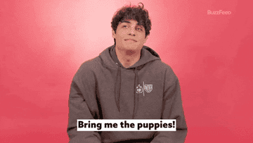 Man in hoodie smiling with text overlay "Bring me the puppies!"
