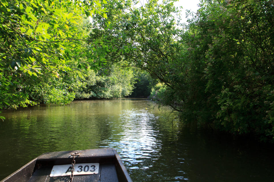 Les hortillonnage d'Amiens (Crédit : Getty Images)