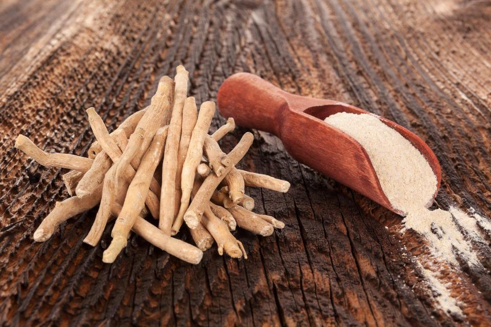 ashwagandha root next to ashwagandha powder