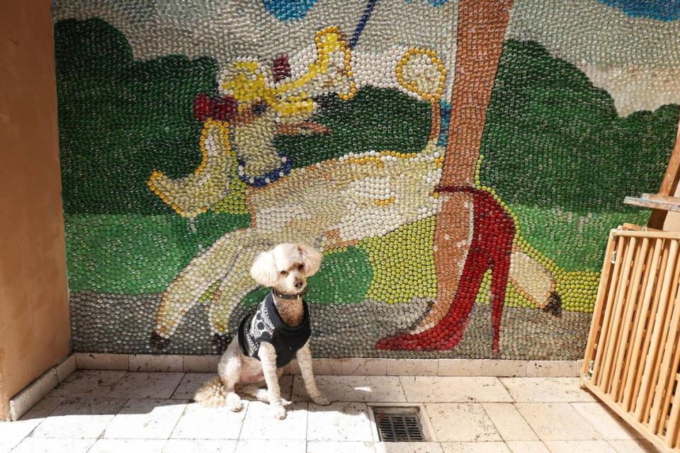 Woody poses with a deck mural he inspired. Mosaic tiles accent many of the rooms in the San Luis Obispo home owned by Bruce and Suki Mason, seen here on May 10, 2024. Suki created the mural-sized artwork.