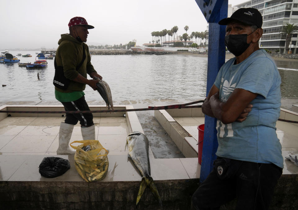 A fishermen displays for sale his catch of the day on the dock in Ancon, Peru, Thursday, Jan. 20, 2022. The oil spill on the Peruvian coast caused by the waves from an eruption of an undersea volcano in the South Pacific nation of Tonga has expanded along the coastline, reaching Ancon, a fishing and touristic port. (AP Photo/Martin Mejia)