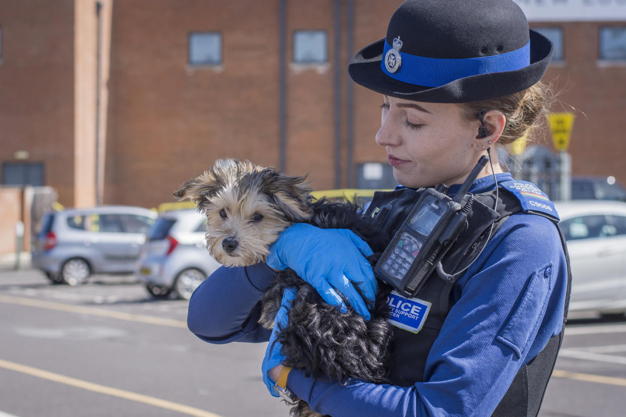 A police community support officer (PCSO) with the dog which was left in a vehicle in Swindon, Wiltshire, on Monday (SWNS)