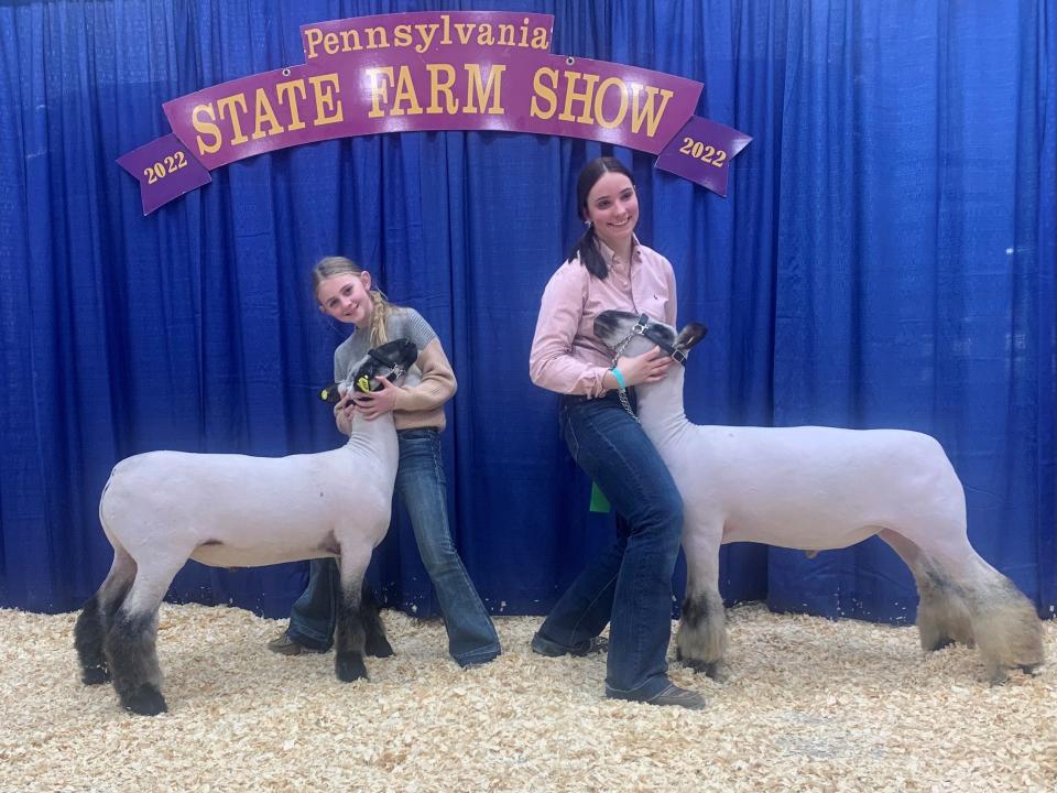 Olivia Jonas and Rachel Olver placed well during their Lamb Showing competitions at the PA Farm Show.
