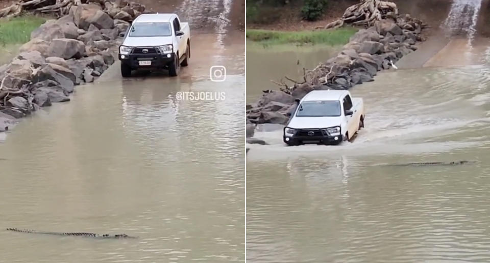 A crocodile floats in the river directly in the path of an oncoming 4WD.