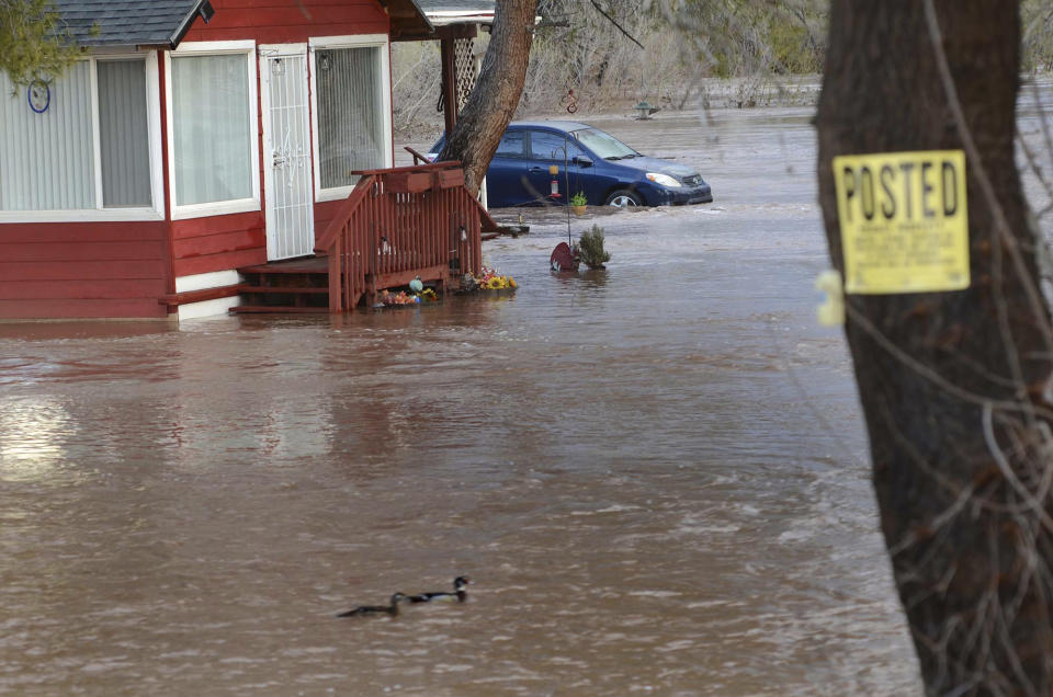 Residents in Cottonwood, Ariz., woke up to a swollen Verde River Wednesday, March 23, 2023 after a Go order was issued during the night to leave their homes by the Yavapai County Sheriff's Office. More rain is expected on Wednesday and Thursday. (Vyto Starinskas/The Daily Courier via AP)