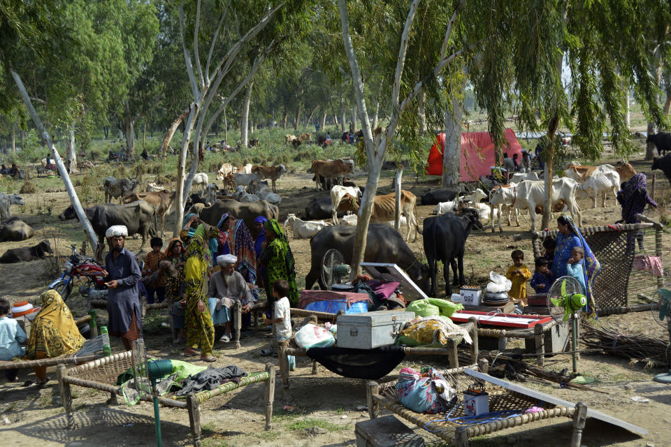 Displaced families who fled their flood-hit homes take refuge in an open area of Multan, Pakistan, Wednesday, Aug. 31, 2022. Officials in Pakistan raised concerns Wednesday over the spread of waterborne diseases among thousands of flood victims as flood waters from powerful monsoon rains began to recede in many parts of the country. (AP Photo/Shazia Bhatti)