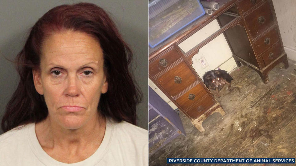 Coachella puppies dumped: Look inside Deborah Culwell's run-down home where 38 dogs were found