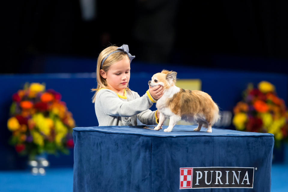 And Finally, the Cutest Pair in Dog Show History