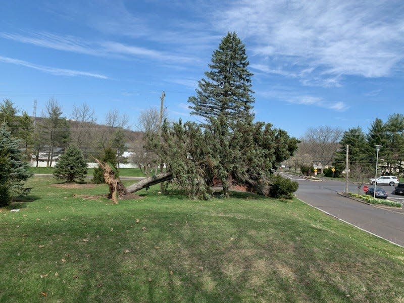 An EF1 tornado uprooted large trees on the campus of Bucks County Community College in Newtown Township Saturday night, among other damage.