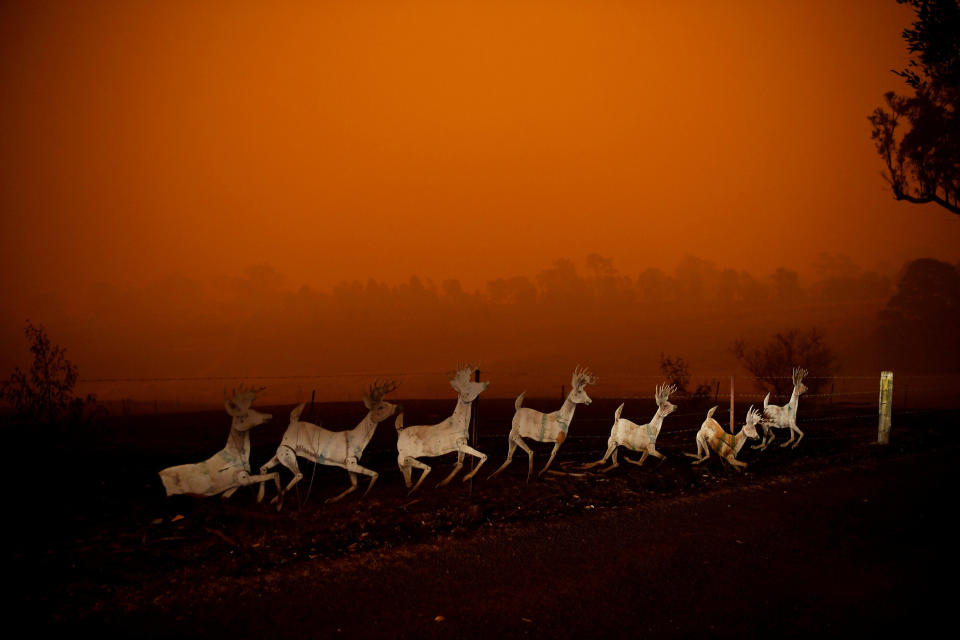 (Photo: Tracey Nearmy / Reuters)