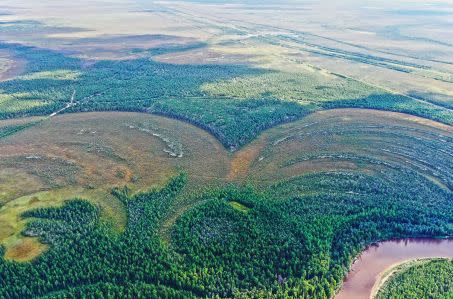 promontoire d\'Amnya, forêt sibérienne Crédit : Nikita Golovanov / Piezonka et al., 2023