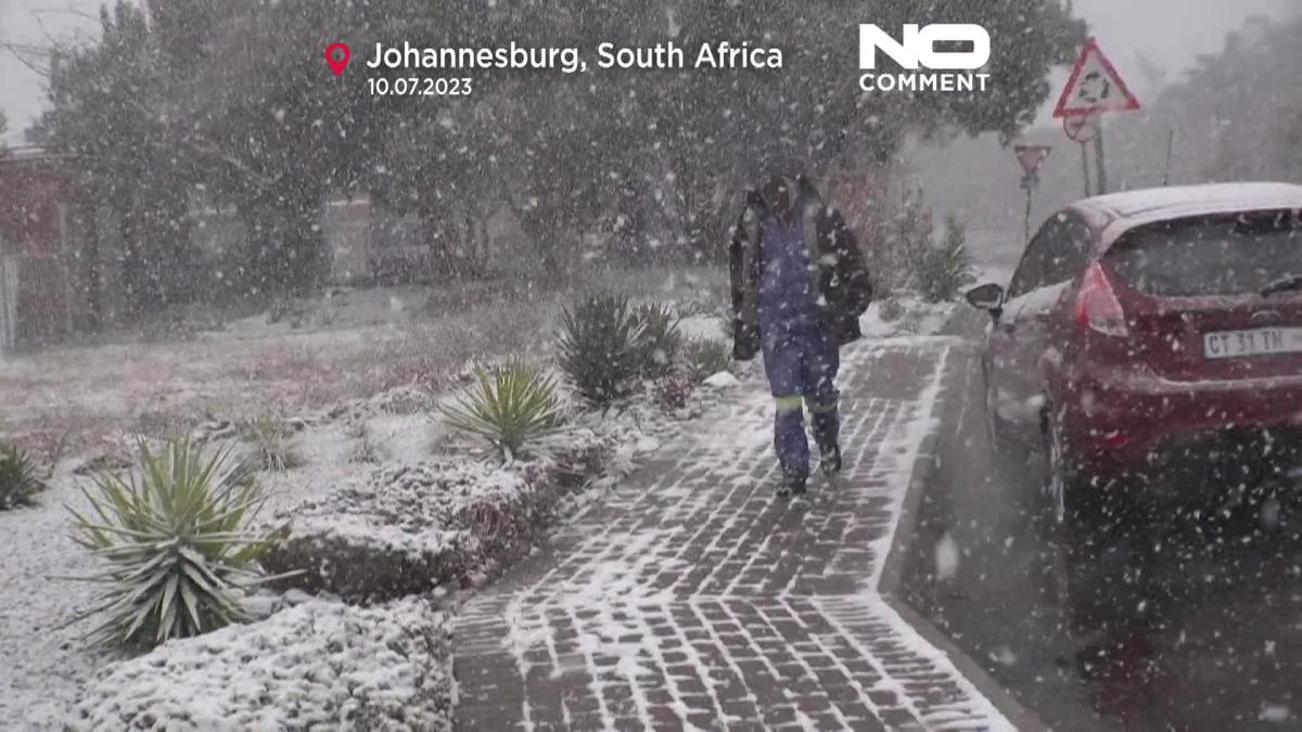 Watch Snow way! Residents in Johannesburg wake up to rare snowfall