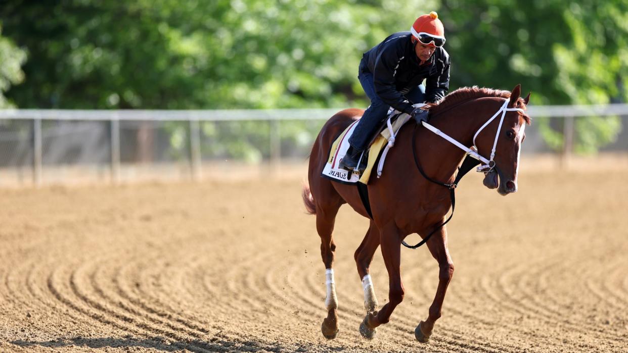  Kentucky Derby winner Mage goes over the track during a training session ahead of the 148th Running of the Preakness Stakes at Pimlico Race Course on May 18, 2023 in Baltimore, Maryland.  
