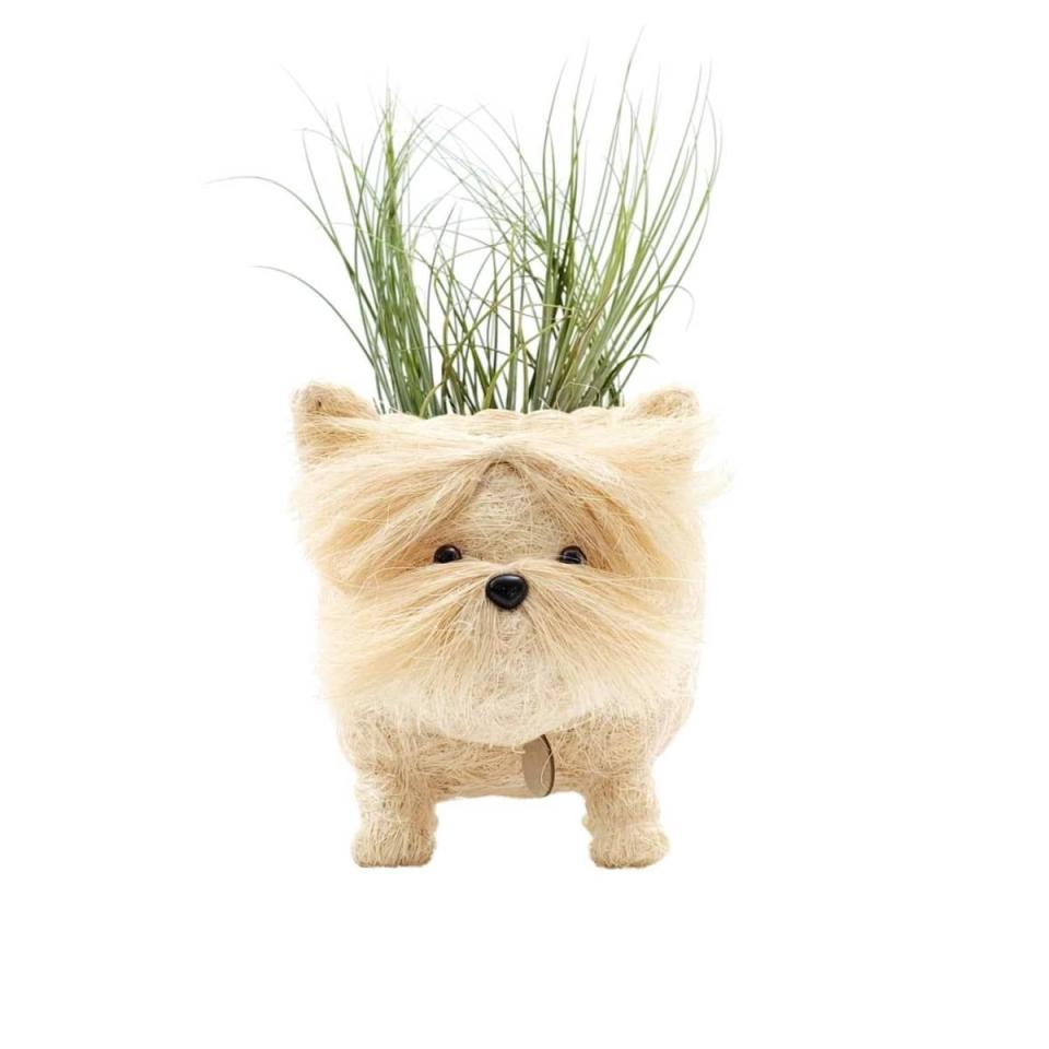 Westie Planter