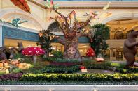 <p><strong>Let’s start big picture here.</strong> The airy central conservatory, which opens up right as you enter <a href="https://www.cntraveler.com/hotels/united-states/las-vegas/bellagio-las-vegas?mbid=synd_yahoo_rss" rel="nofollow noopener" target="_blank" data-ylk="slk:Bellagio;elm:context_link;itc:0;sec:content-canvas" class="link ">Bellagio</a>, was inspired by the verdigris framework of Art Nouveau conservatories of <a href="https://www.cntraveler.com/destinations/paris?mbid=synd_yahoo_rss" rel="nofollow noopener" target="_blank" data-ylk="slk:Paris;elm:context_link;itc:0;sec:content-canvas" class="link ">Paris</a>. Despite the fact that Las Vegas sits smack in the middle of the Mojave Desert, you can see the changing seasons in all their glory when the Bellagio Conservatory & Botanical Garden transforms five times per year with fresh flowers; towering animatronic butterflies and birds; burbling fountains and bobbing lanterns. Each of its seasonal “theatrical presentations” of the elements is totally new. You'll never see the same things twice. And each is more transporting than the last. It's free, requires no effort to navigate (unless you're trying to elbow your way through all the smartphone-wielding selfie-takers). It's an absolute feast for the eyes: locals love it as much as tourists, and it's one of the top free attractions in the city.</p> <p><strong>Any standout features or must-sees?</strong> Each season, its 120 horticulturalists, engineers, and designers create displays with more than 10,000 flowers, which are switched out every two weeks. You'll never see the same thing again, but past examples included a Lunar New Year to celebrate the rat (a symbol of prosperity), with displays that included 32,000 flowers among the Conservatory's four beds (West, East, North, and South), as well as a koi pond, two 20-foot-high jade medallions, an ornate pagoda guarded by two animatronic lion dancers, and five giant gold rats pushing a golden cart and dancing up a staircase between two golden money trees. In other words, expect the unexpected.</p> <p><strong>Was it easy to get around?</strong> The Conservatory is simple to navigate: the moment you enter Bellagio's front door, you'll see its 50-foot-high, skylit interior before you. It's a rectangular shape, bordered by stores and restaurants, so it's impossible to get lost. It's also very accommodating for those with mobility issues, with flat pathways and the occasional ramp.</p> <p><strong>All said and done, what—and who—is this best for?</strong> Even though Bellagio Conservatory is free, and therefore an automatic draw in this city, the attraction is so over the top it feels like a must-see, even if you're on the spendiest trip of your life. Kids love it, adults love it, influencers love it (a little too much). Each season is more magical than the last, so it's perfect for everyone. It's also centrally located, so an easy attraction to reach on your way to or from other things you might be doing in Las Vegas during the day or night. And because it's an open botanical garden, it never closes—except for the occasional middle-of-the-night seasonal change-up.</p>