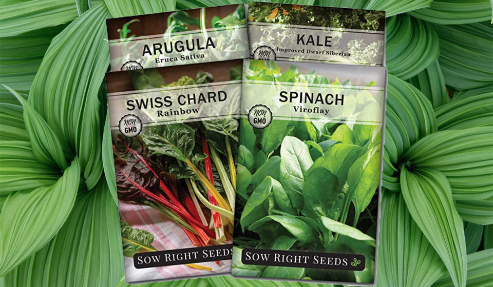 Sow Right Power Greens Seeds (Photo: Amazon)