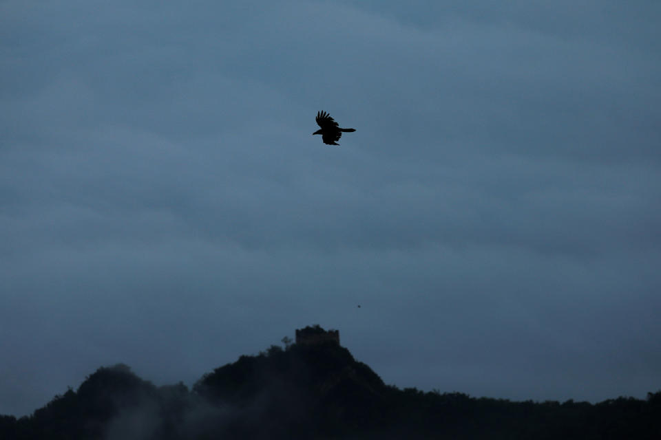 <p>A bird flies over the Jiankou section of the Great Wall, located in Huairou District, north of Beijing, China, June 7, 2017. (Photo: Damir Sagolj/Reuters) </p>