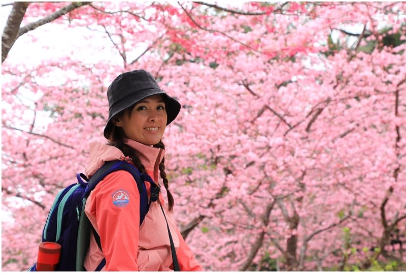 高雄「寶山二集團櫻花公園