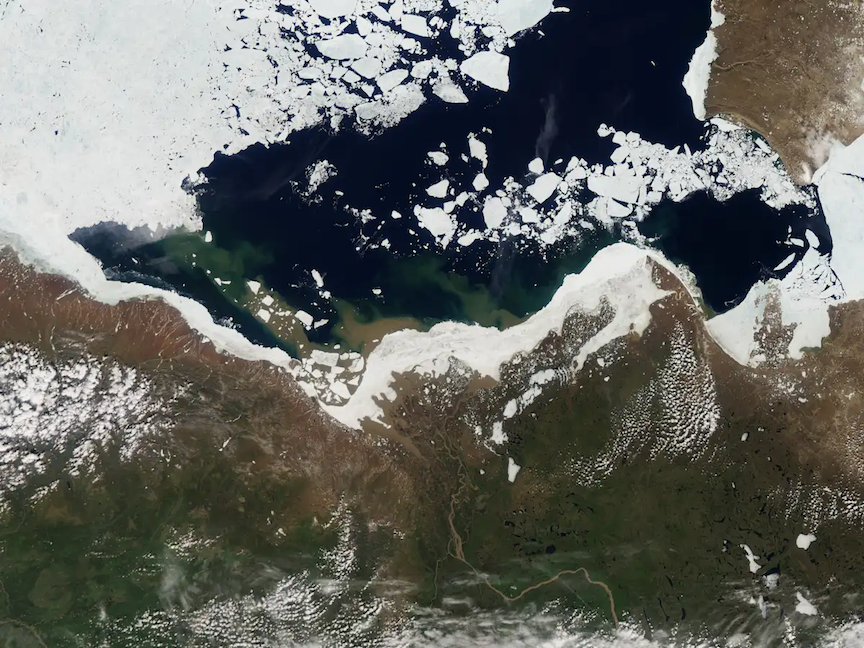 Fresh water flowing from rivers such as Canada’s Mackenzie River, at the bottom center of the satellite image, into the Beaufort Sea can break up sea ice early. (NASA Earth Observatory image)