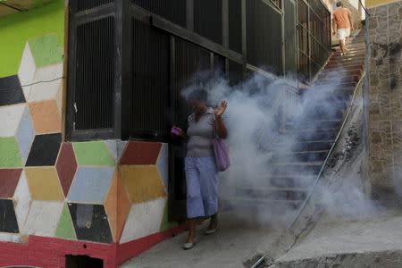 A woman walks through insecticide smoke during a fumigation campaign at the Petare slum to help control the spread of the mosquito-borne Zika virus in Caracas, February 3, 2016. REUTERS/Marco Bello