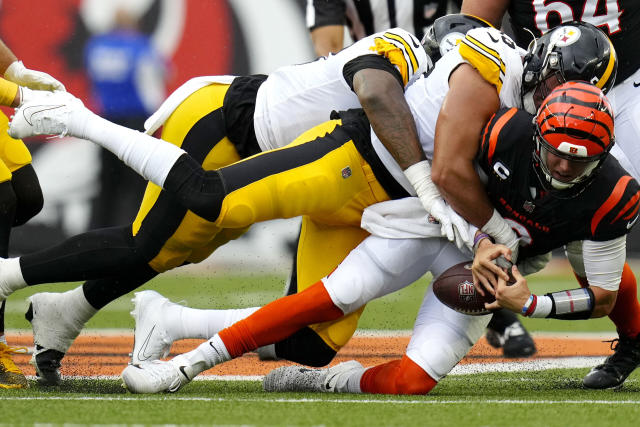 Steelers vs. Bengals, AFC Wild Card Highlights