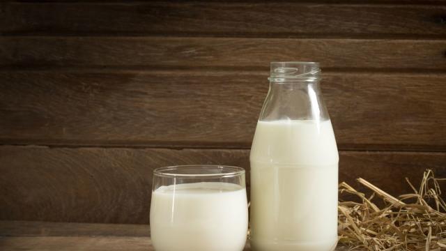 Think Twice Before You Consider Cooking With Skim Milk