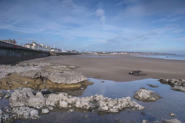 Man drowns off Sunderland coast trying to rescue dog