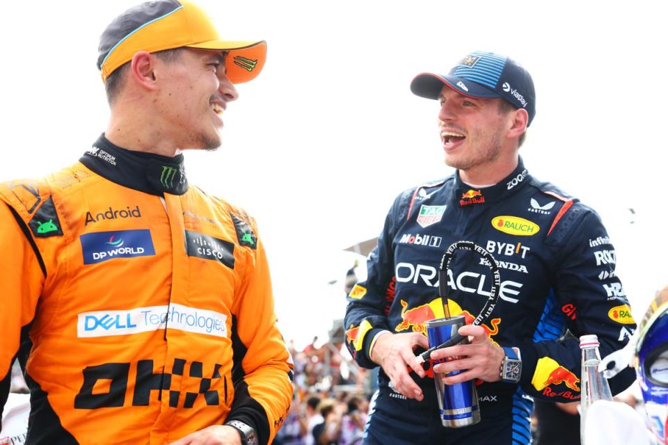 Lando Norris and Max Vestappen are friends off the track (Getty Images)