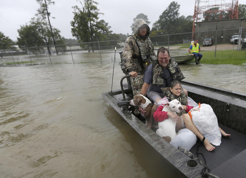 Animals rescued in the aftermath of Harvey