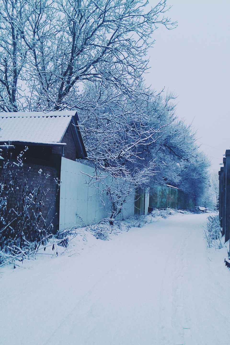 The first — and only the first — snowfall.